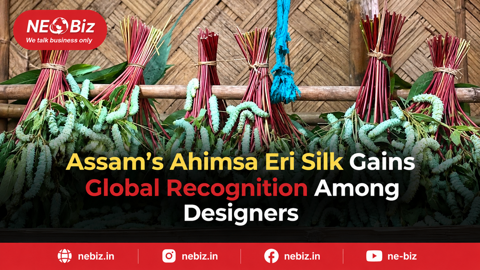 Assam’s Ahimsa Eri Silk Gains Global Recognition Among Designers